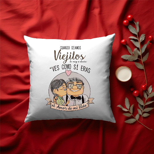 Ellie and Carl pillow case Spanish version