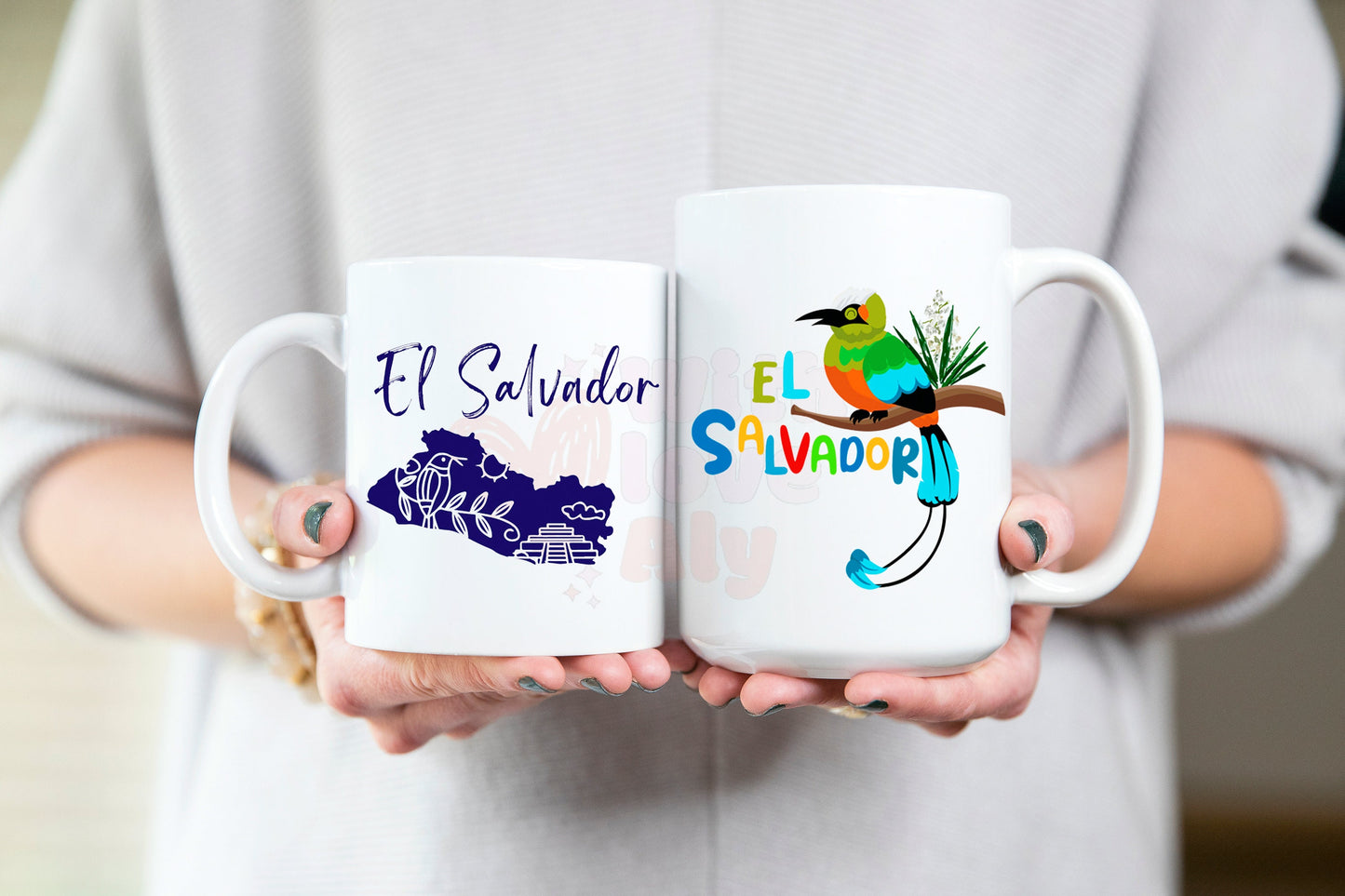 El Salvador, El torogoz mug